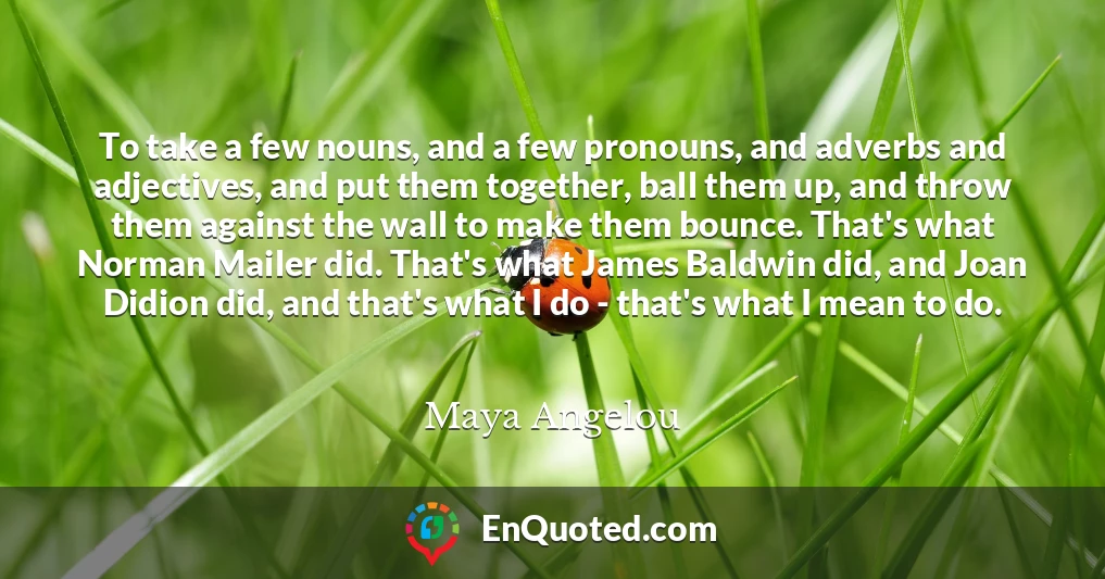 To take a few nouns, and a few pronouns, and adverbs and adjectives, and put them together, ball them up, and throw them against the wall to make them bounce. That's what Norman Mailer did. That's what James Baldwin did, and Joan Didion did, and that's what I do - that's what I mean to do.
