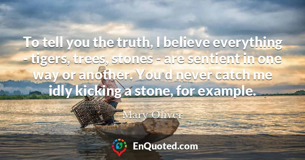 To tell you the truth, I believe everything - tigers, trees, stones - are sentient in one way or another. You'd never catch me idly kicking a stone, for example.