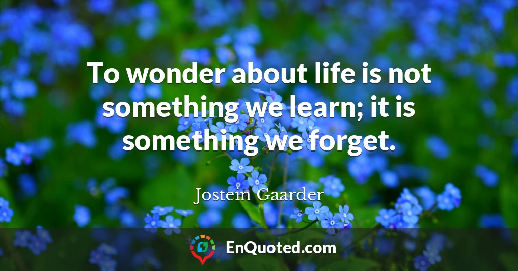 To wonder about life is not something we learn; it is something we forget.