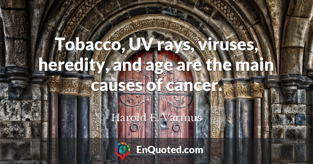 Tobacco, UV rays, viruses, heredity, and age are the main causes of cancer.