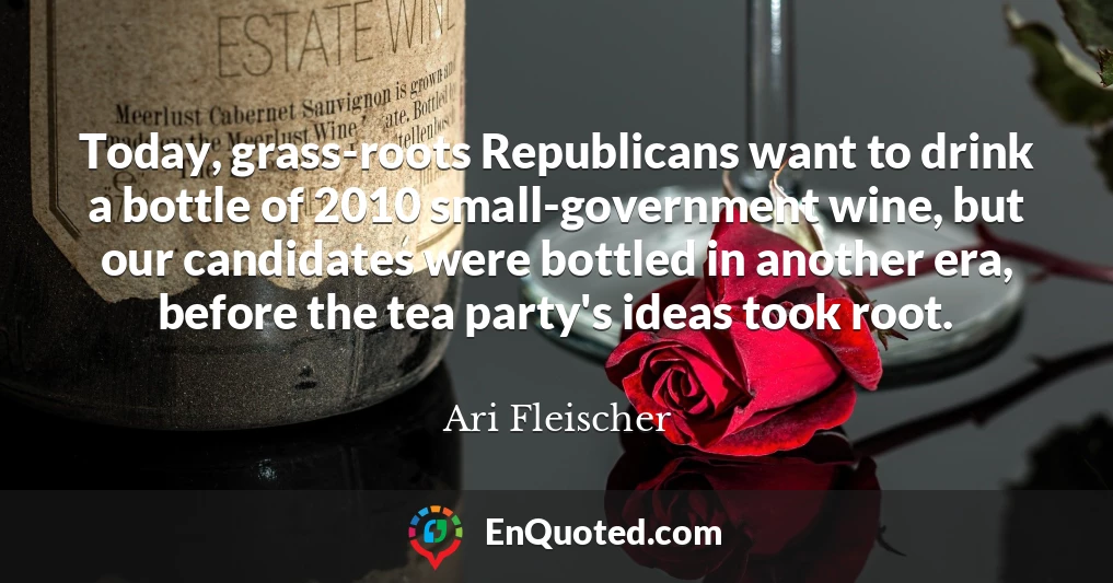 Today, grass-roots Republicans want to drink a bottle of 2010 small-government wine, but our candidates were bottled in another era, before the tea party's ideas took root.