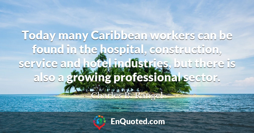 Today many Caribbean workers can be found in the hospital, construction, service and hotel industries, but there is also a growing professional sector.