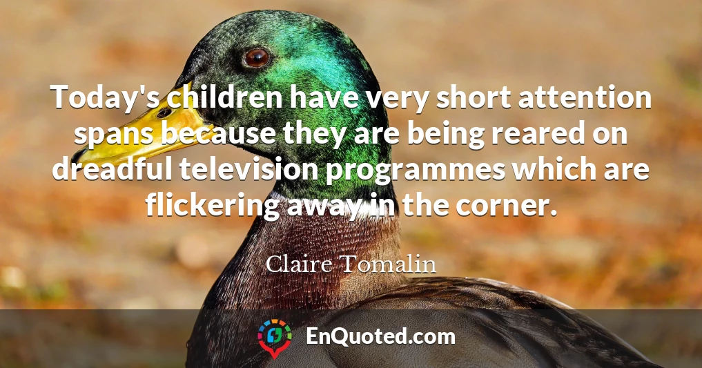Today's children have very short attention spans because they are being reared on dreadful television programmes which are flickering away in the corner.