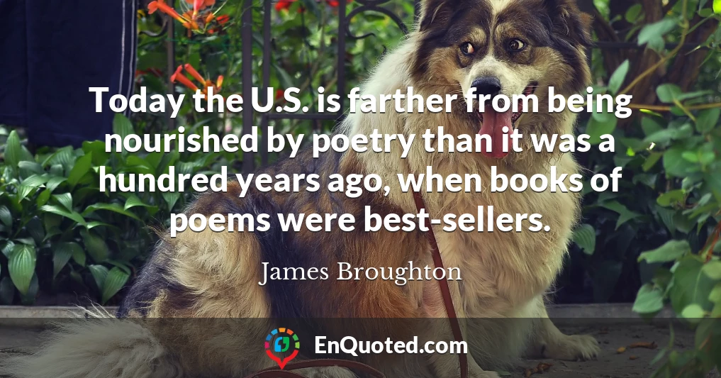 Today the U.S. is farther from being nourished by poetry than it was a hundred years ago, when books of poems were best-sellers.