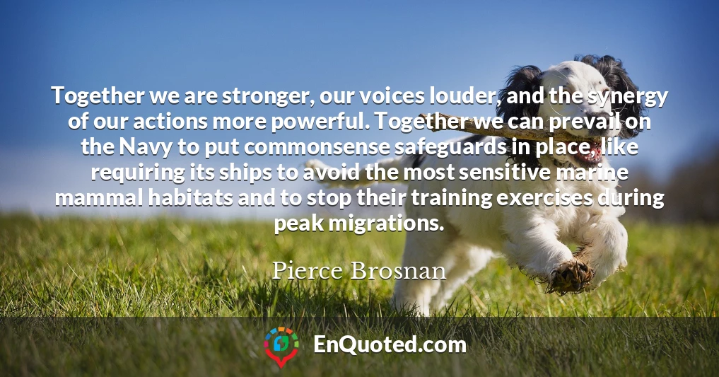 Together we are stronger, our voices louder, and the synergy of our actions more powerful. Together we can prevail on the Navy to put commonsense safeguards in place, like requiring its ships to avoid the most sensitive marine mammal habitats and to stop their training exercises during peak migrations.
