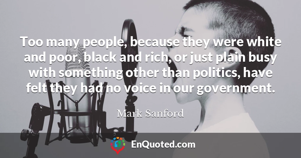 Too many people, because they were white and poor, black and rich, or just plain busy with something other than politics, have felt they had no voice in our government.