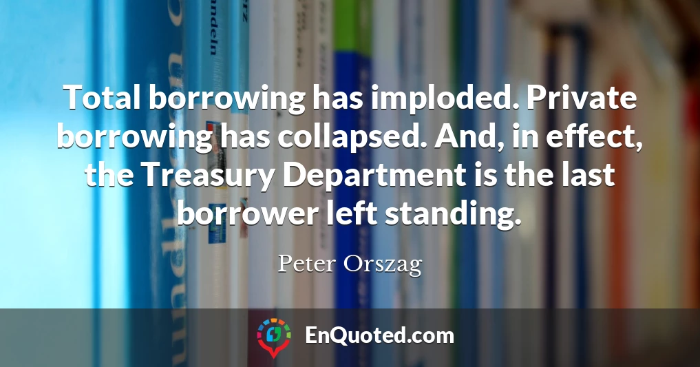 Total borrowing has imploded. Private borrowing has collapsed. And, in effect, the Treasury Department is the last borrower left standing.