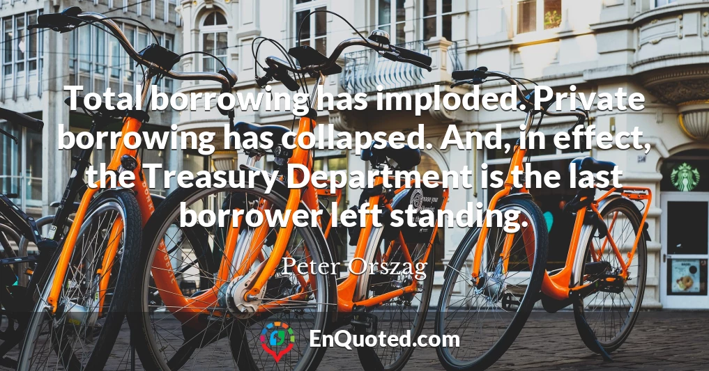 Total borrowing has imploded. Private borrowing has collapsed. And, in effect, the Treasury Department is the last borrower left standing.