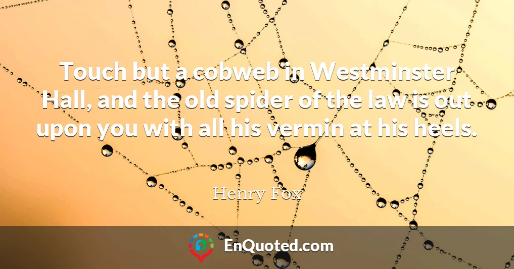 Touch but a cobweb in Westminster Hall, and the old spider of the law is out upon you with all his vermin at his heels.