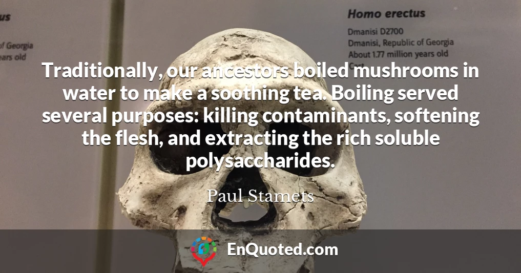 Traditionally, our ancestors boiled mushrooms in water to make a soothing tea. Boiling served several purposes: killing contaminants, softening the flesh, and extracting the rich soluble polysaccharides.
