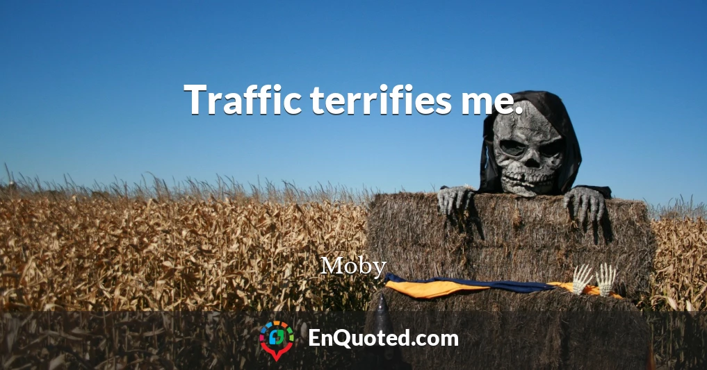 Traffic terrifies me.