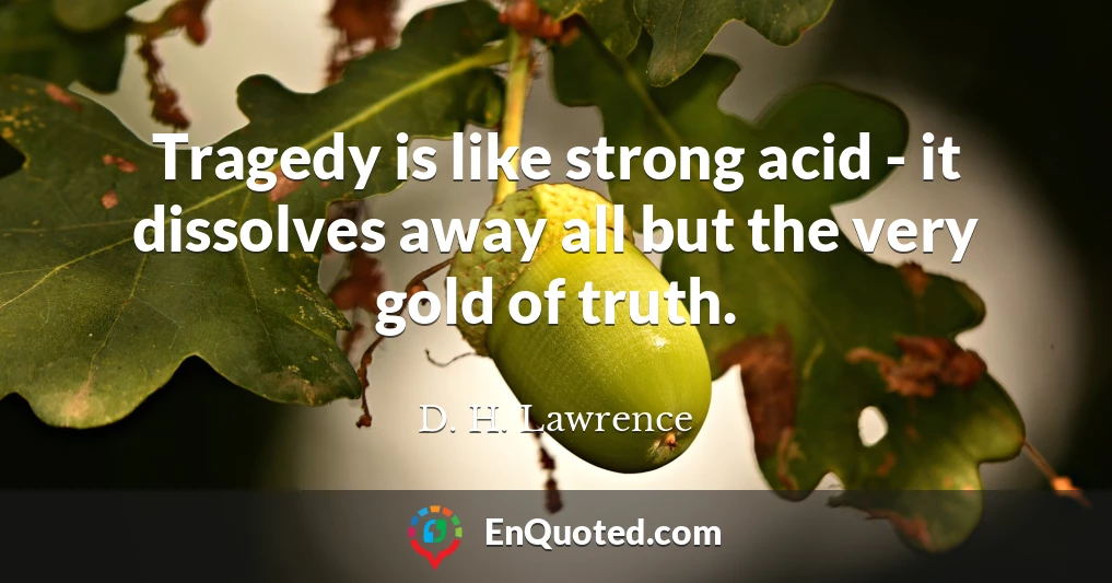 Tragedy is like strong acid - it dissolves away all but the very gold of truth.