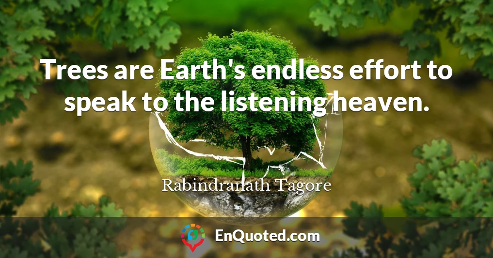 Trees are Earth's endless effort to speak to the listening heaven.