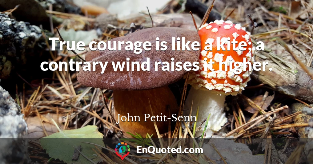 True courage is like a kite; a contrary wind raises it higher.