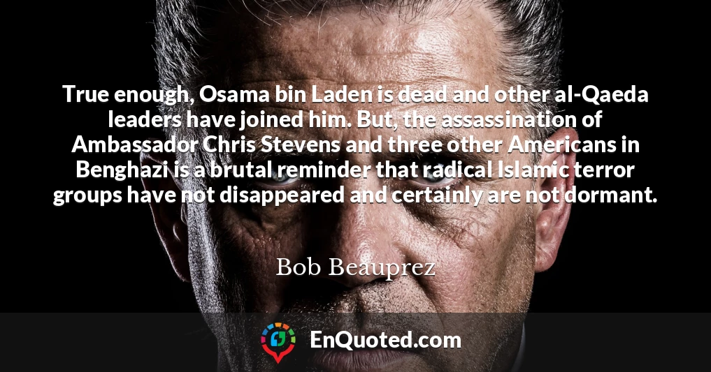 True enough, Osama bin Laden is dead and other al-Qaeda leaders have joined him. But, the assassination of Ambassador Chris Stevens and three other Americans in Benghazi is a brutal reminder that radical Islamic terror groups have not disappeared and certainly are not dormant.