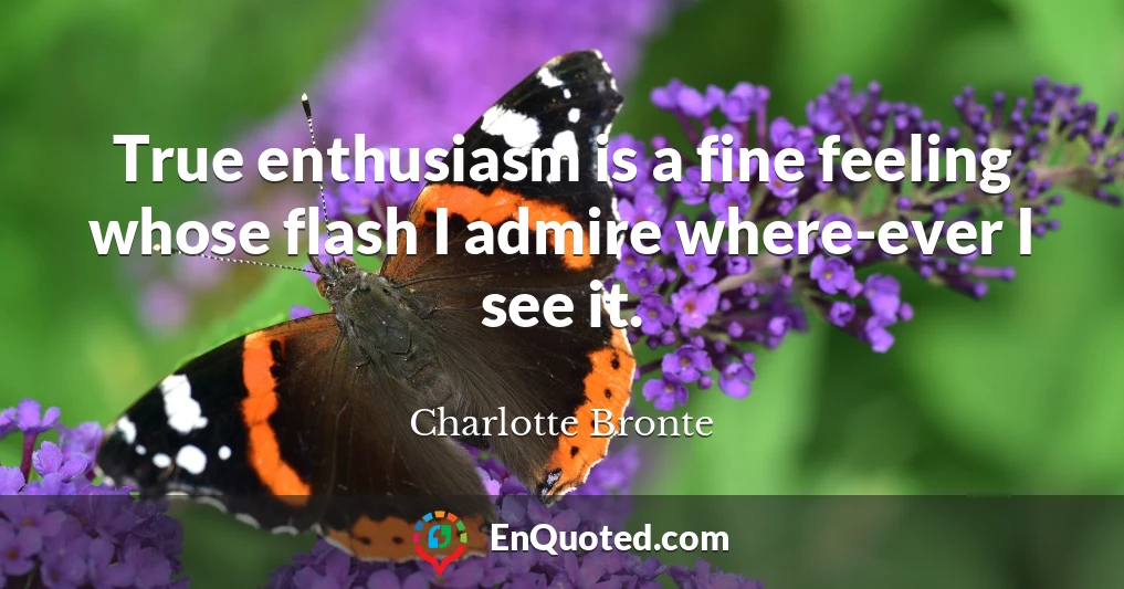 True enthusiasm is a fine feeling whose flash I admire where-ever I see it.