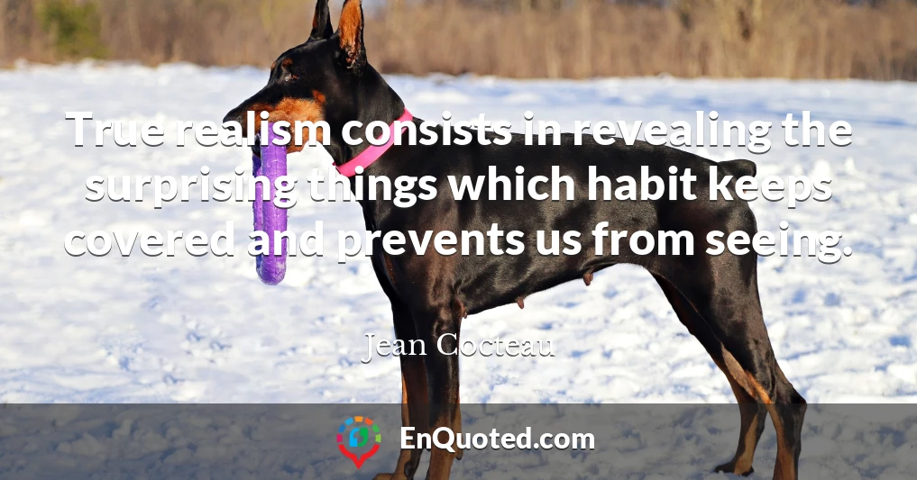 True realism consists in revealing the surprising things which habit keeps covered and prevents us from seeing.
