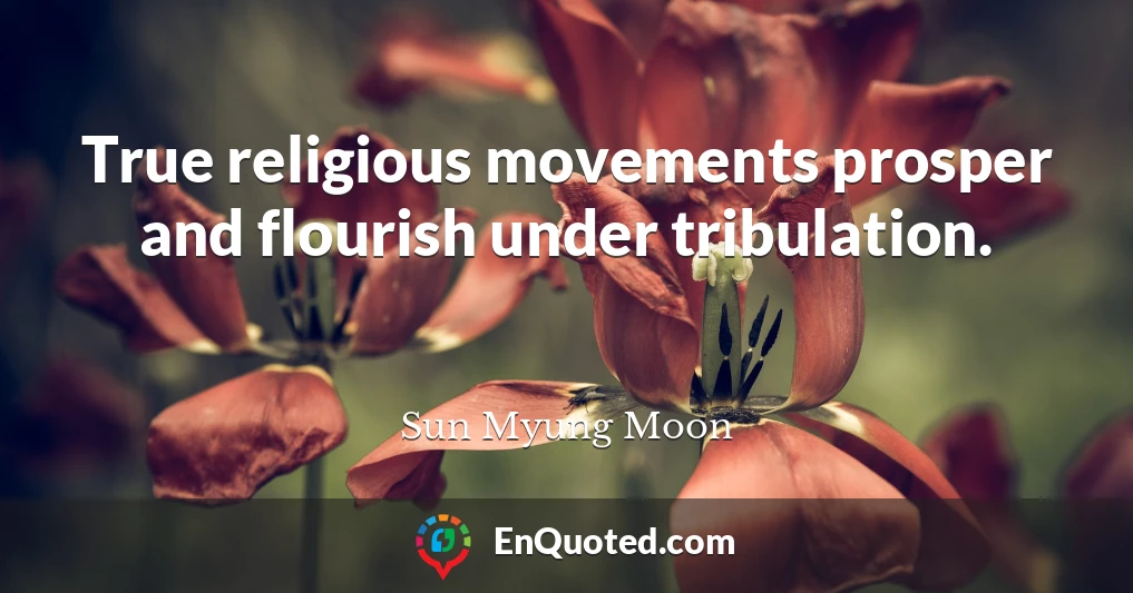 True religious movements prosper and flourish under tribulation.