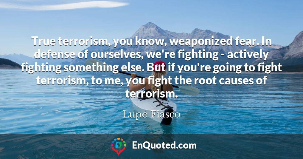 True terrorism, you know, weaponized fear. In defense of ourselves, we're fighting - actively fighting something else. But if you're going to fight terrorism, to me, you fight the root causes of terrorism.