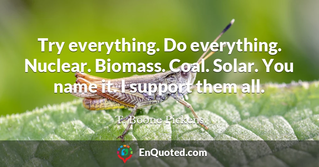 Try everything. Do everything. Nuclear. Biomass. Coal. Solar. You name it. I support them all.
