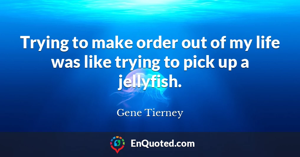 Trying to make order out of my life was like trying to pick up a jellyfish.
