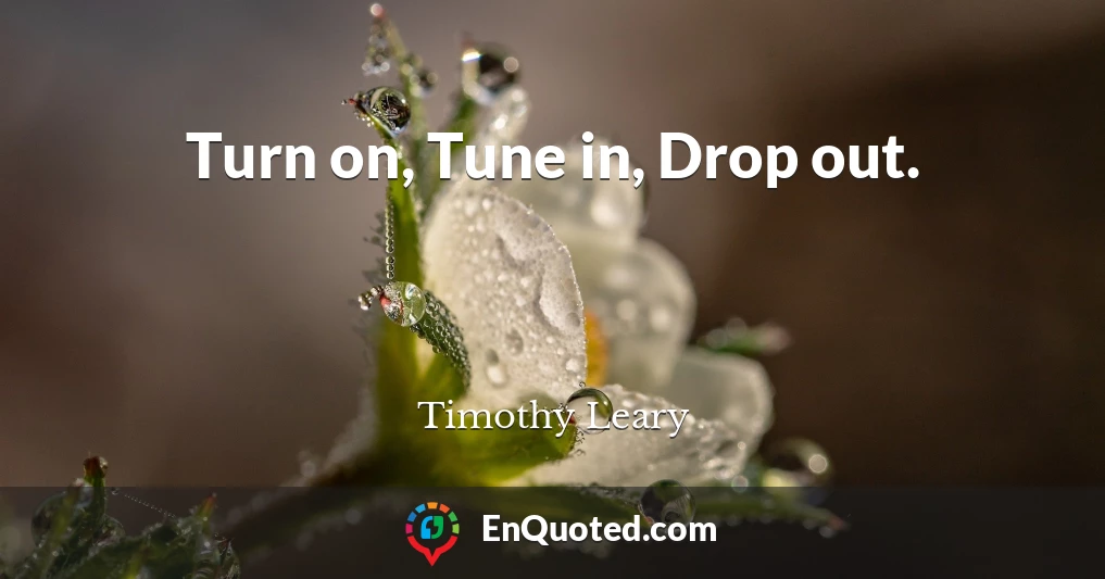Turn on, Tune in, Drop out.