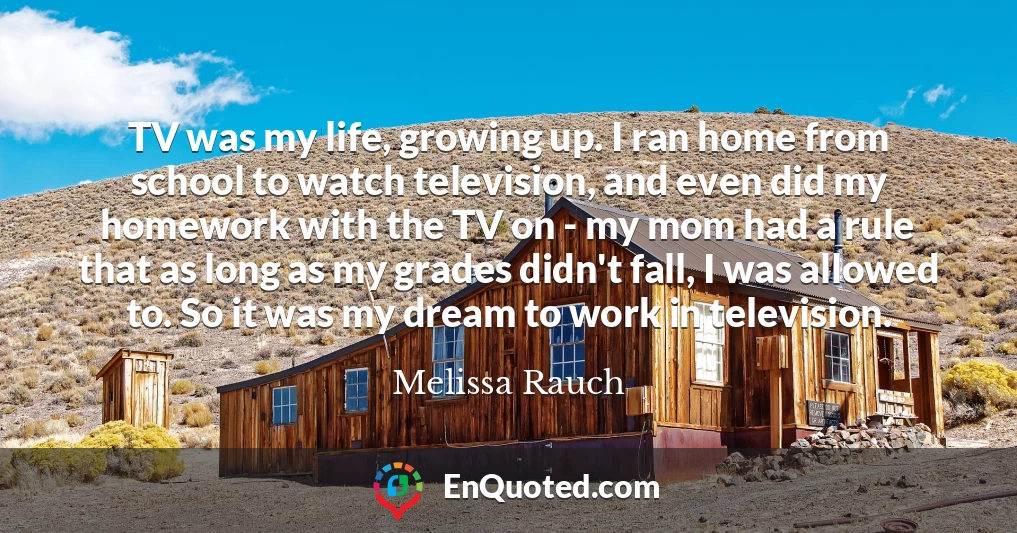 TV was my life, growing up. I ran home from school to watch television, and even did my homework with the TV on - my mom had a rule that as long as my grades didn't fall, I was allowed to. So it was my dream to work in television.
