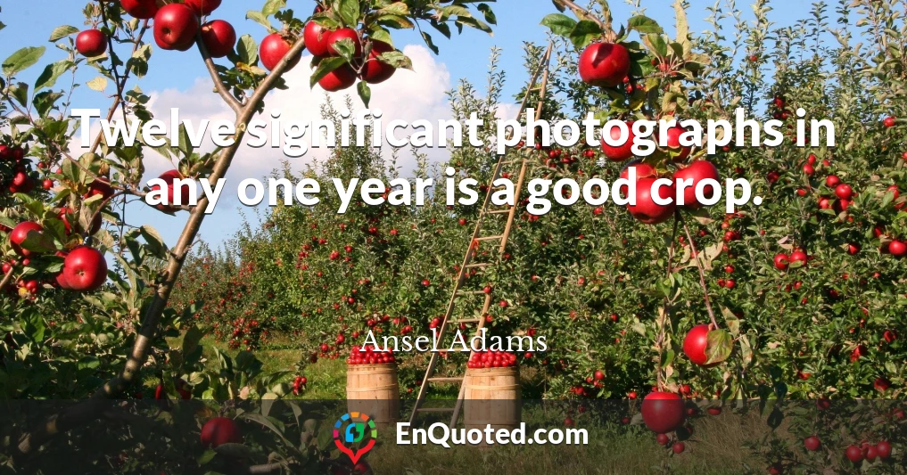 Twelve significant photographs in any one year is a good crop.