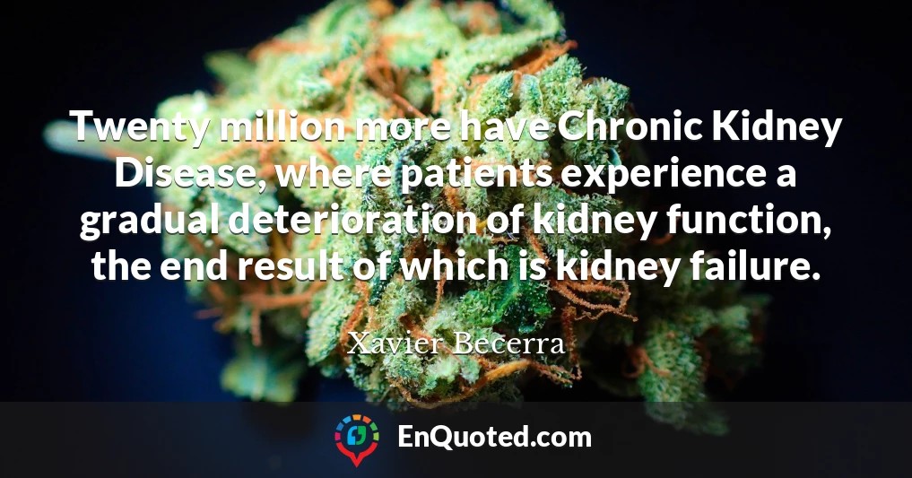 Twenty million more have Chronic Kidney Disease, where patients experience a gradual deterioration of kidney function, the end result of which is kidney failure.