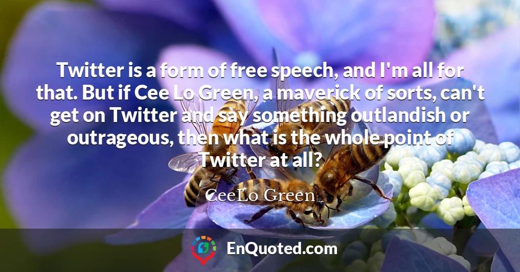 Twitter is a form of free speech, and I'm all for that. But if Cee Lo Green, a maverick of sorts, can't get on Twitter and say something outlandish or outrageous, then what is the whole point of Twitter at all?
