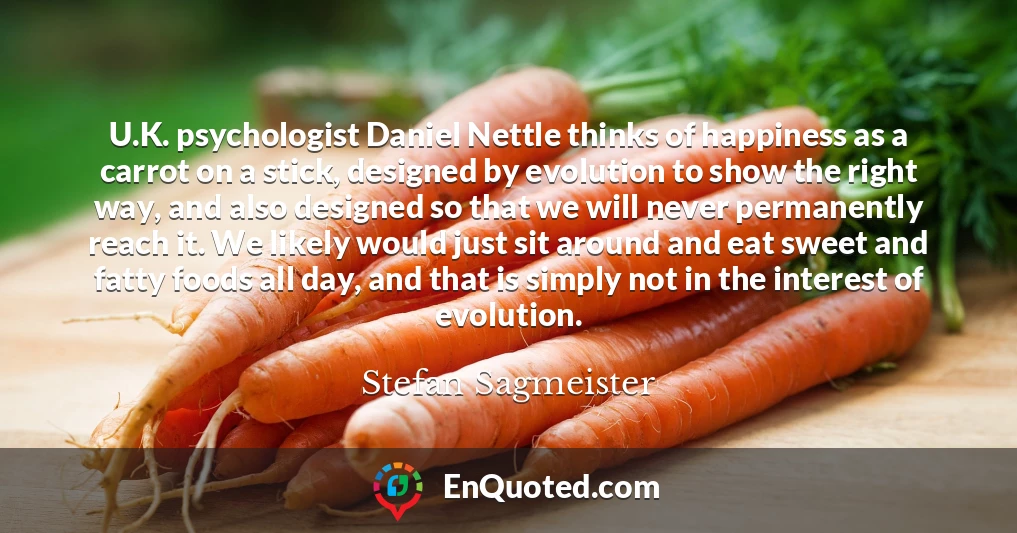 U.K. psychologist Daniel Nettle thinks of happiness as a carrot on a stick, designed by evolution to show the right way, and also designed so that we will never permanently reach it. We likely would just sit around and eat sweet and fatty foods all day, and that is simply not in the interest of evolution.