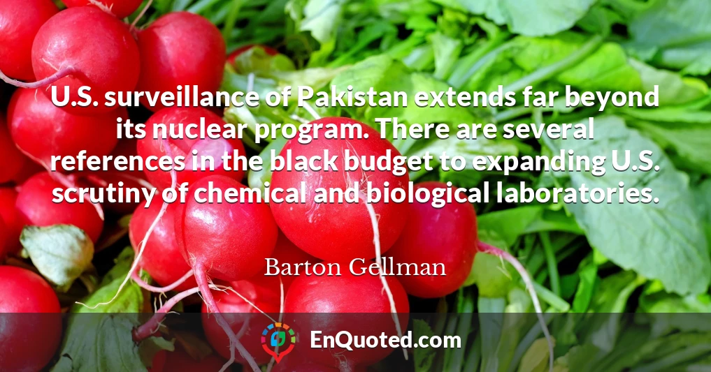 U.S. surveillance of Pakistan extends far beyond its nuclear program. There are several references in the black budget to expanding U.S. scrutiny of chemical and biological laboratories.