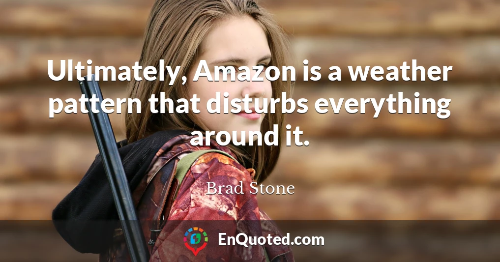Ultimately, Amazon is a weather pattern that disturbs everything around it.