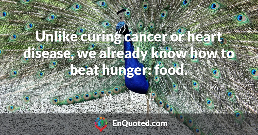 Unlike curing cancer or heart disease, we already know how to beat hunger: food.