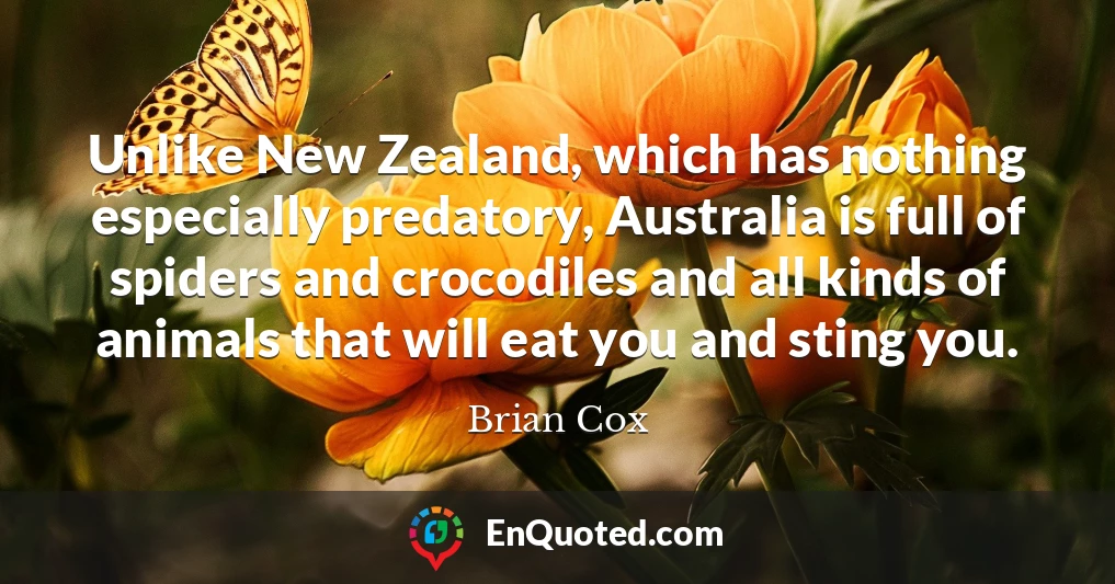 Unlike New Zealand, which has nothing especially predatory, Australia is full of spiders and crocodiles and all kinds of animals that will eat you and sting you.