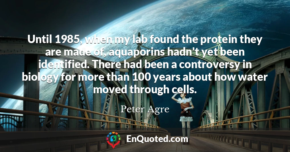 Until 1985, when my lab found the protein they are made of, aquaporins hadn't yet been identified. There had been a controversy in biology for more than 100 years about how water moved through cells.