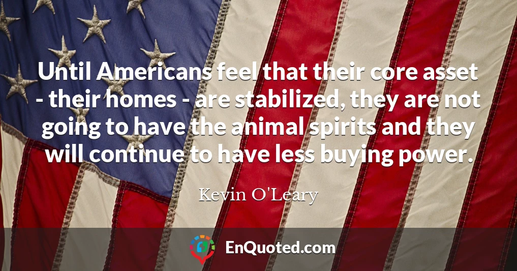 Until Americans feel that their core asset - their homes - are stabilized, they are not going to have the animal spirits and they will continue to have less buying power.