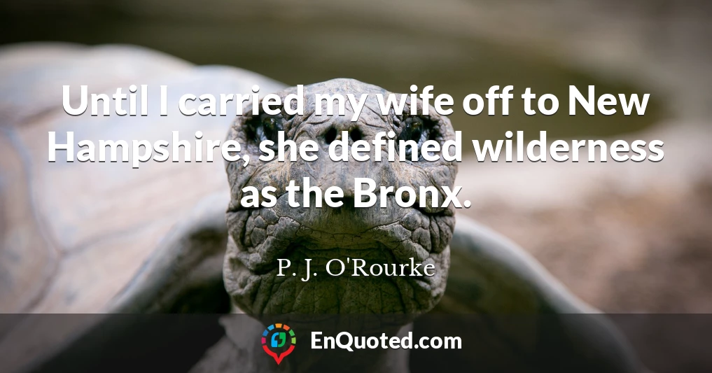 Until I carried my wife off to New Hampshire, she defined wilderness as the Bronx.