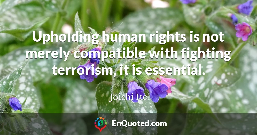 Upholding human rights is not merely compatible with fighting terrorism, it is essential.