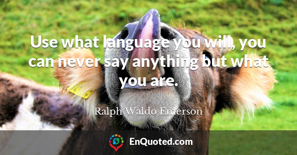 Use what language you will, you can never say anything but what you are.