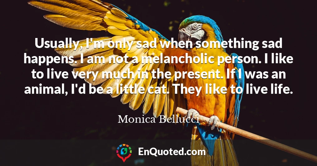 Usually, I'm only sad when something sad happens. I am not a melancholic person. I like to live very much in the present. If I was an animal, I'd be a little cat. They like to live life.