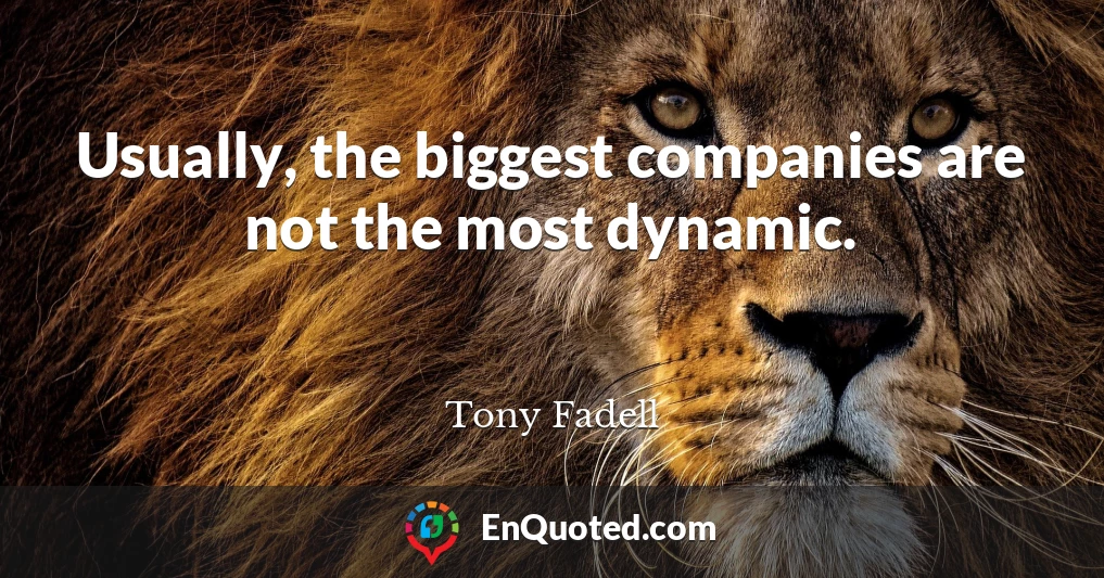 Usually, the biggest companies are not the most dynamic.