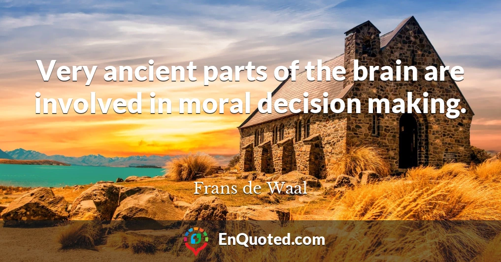 Very ancient parts of the brain are involved in moral decision making.
