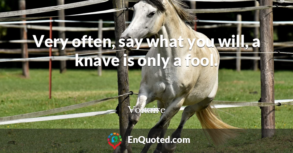 Very often, say what you will, a knave is only a fool.