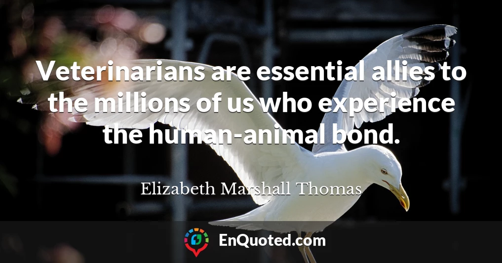 Veterinarians are essential allies to the millions of us who experience the human-animal bond.