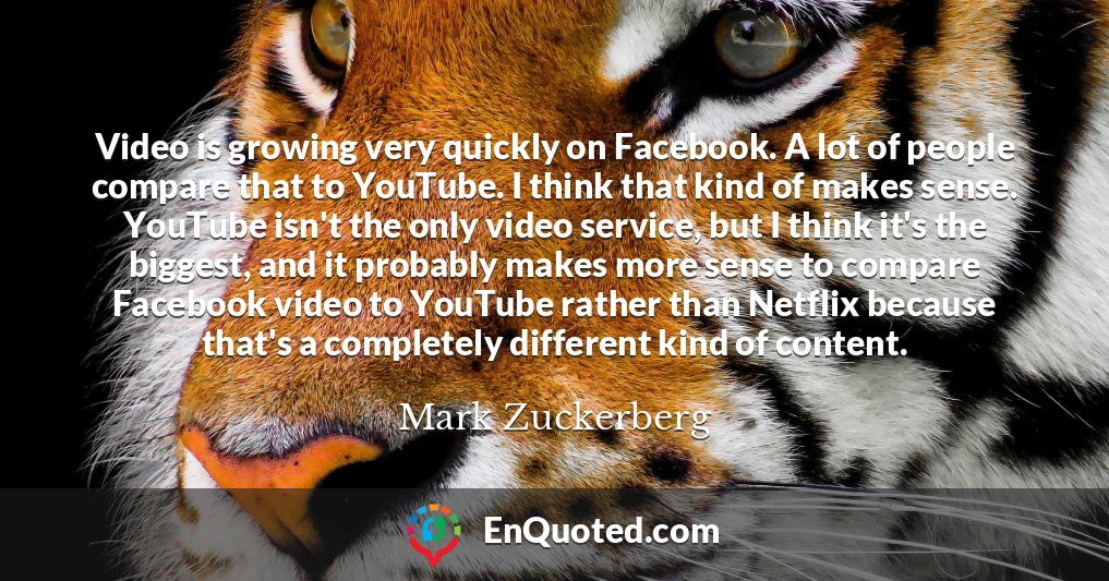 Video is growing very quickly on Facebook. A lot of people compare that to YouTube. I think that kind of makes sense. YouTube isn't the only video service, but I think it's the biggest, and it probably makes more sense to compare Facebook video to YouTube rather than Netflix because that's a completely different kind of content.