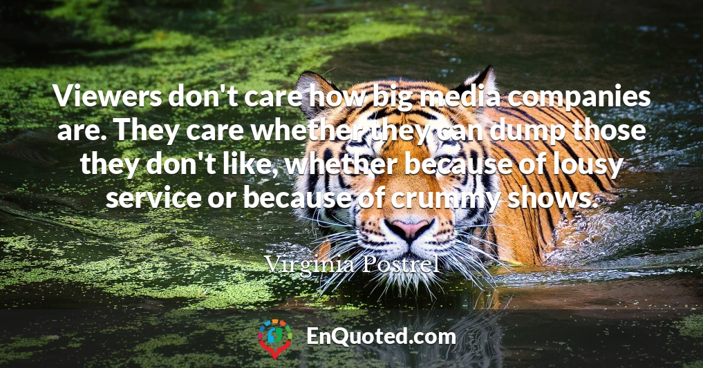 Viewers don't care how big media companies are. They care whether they can dump those they don't like, whether because of lousy service or because of crummy shows.