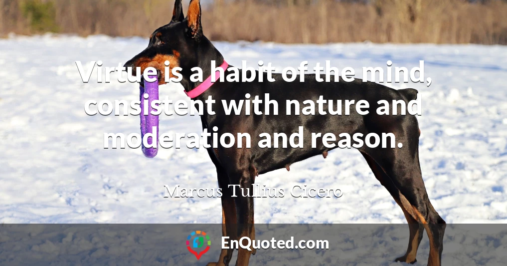 Virtue is a habit of the mind, consistent with nature and moderation and reason.