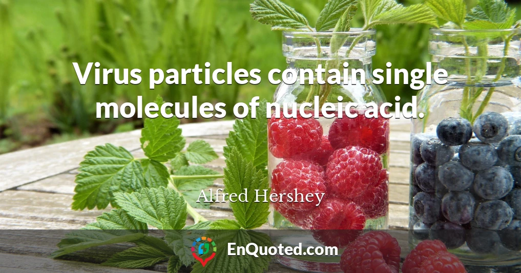 Virus particles contain single molecules of nucleic acid.