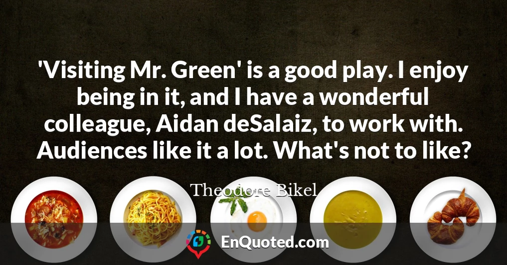 'Visiting Mr. Green' is a good play. I enjoy being in it, and I have a wonderful colleague, Aidan deSalaiz, to work with. Audiences like it a lot. What's not to like?